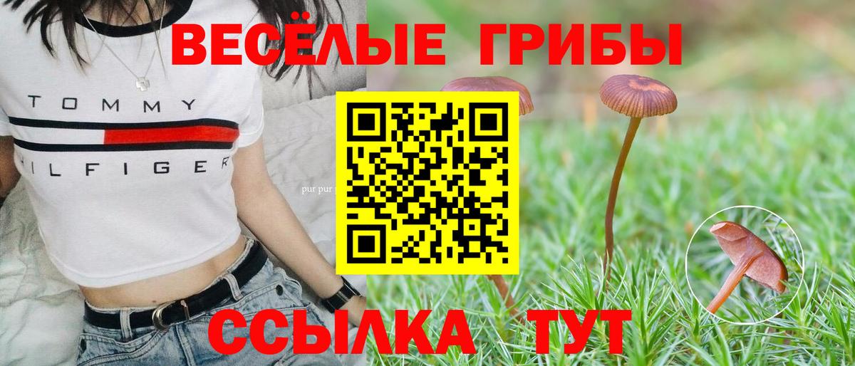Псилоцибиновые грибы Psilocybine cubensis Солнечногорск