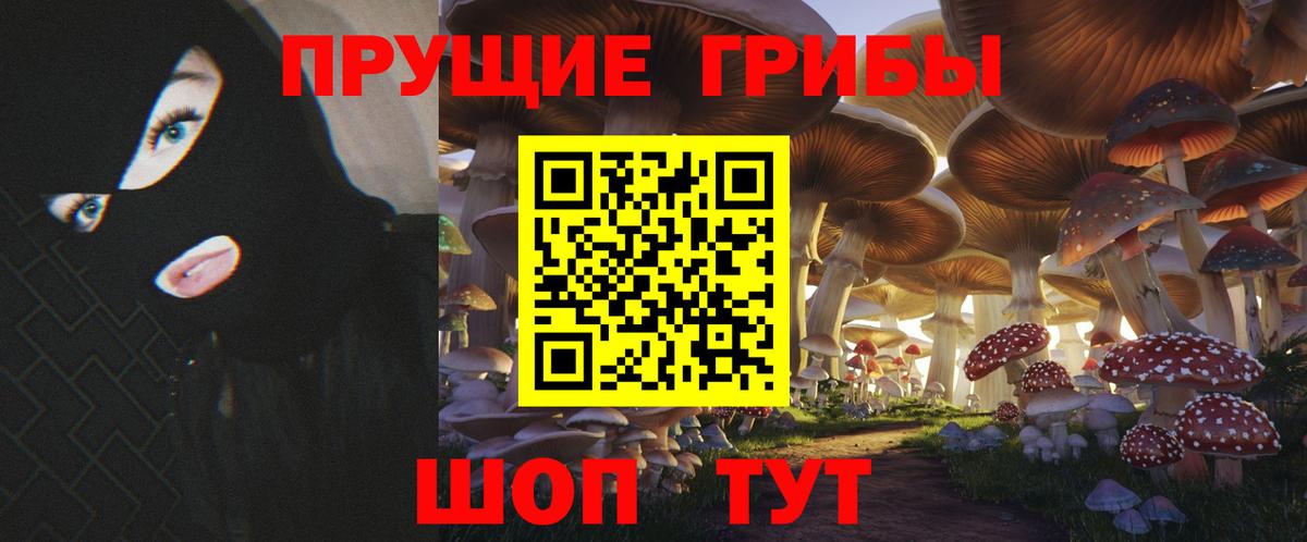 Галлюциногенные грибы мухоморы  Вход с VPN  Солнечногорск 